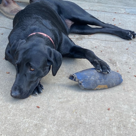 Sold!!! - Picture 1 of 1